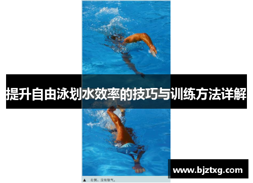 提升自由泳划水效率的技巧与训练方法详解
