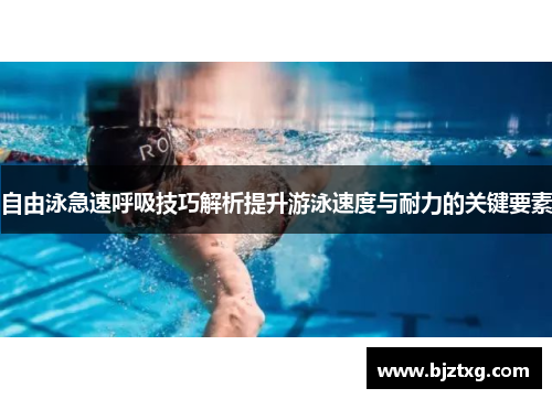 自由泳急速呼吸技巧解析提升游泳速度与耐力的关键要素
