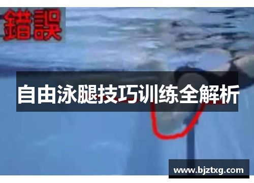自由泳腿技巧训练全解析
